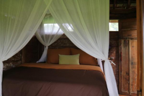 Acala Naturecho Guesthouses